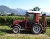Winzer überschlagt sich mit Traktor in Weinberg