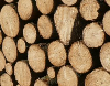 Unbekannte stehlen große Menge Holz im Harz - 20.000 Euro Schaden