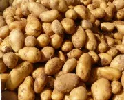 Kartoffelverbrauch