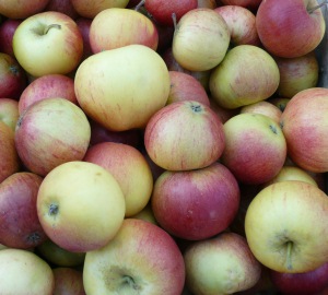 Bi-Äpfel