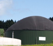 Biogasanalge