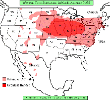 Verbreitung des Maiswurzelbohrers in den USA 2005