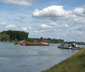 Rhein