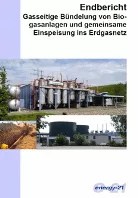 Biogas-Sammelleitung
