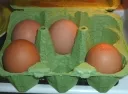 Verbraucher kaufen mehr Bio-Eier