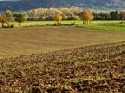 Landwirtschaftliche Grundstückspreise in Deutschland 2007 weiter leicht angestiegen