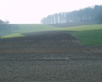 AGRARIUS AG ermöglicht Investition in Agrarflächen in Mittel- und Osteuropa