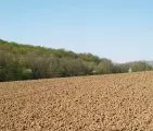 KTG Agrar vergrert Anbauflche in 2008 um fast 40 Prozent auf 25.000 Hektar