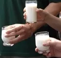 Aktionstag zum "Tag der Milch" 2009