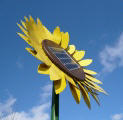 Sonnenblume mit Solarzellen 