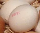 Weie Eier