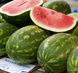 Biosprit aus Wassermelonen