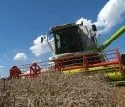 Gute Getreide-Ernte fr hessische Bauern - Hoher Kostendruck
