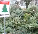Weihnachtsbaum-Sammelstelle