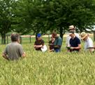 Thüringen bietet bundesweit einmalige Ausbildung zum Landwirt mit Abitur