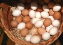 Deutschland: Mehr Eier verbraucht 