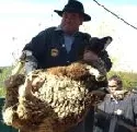 Schfer mit Schaf