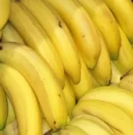 Bio-Bananen erfrischen deutschen Markt