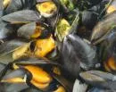 Bundesregierung begrt Nachweismethode fr Algengifte in Muscheln ohne Tierversuche