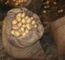 Marktkommentar Kartoffeln
