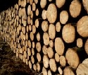 Baustoff Holz 