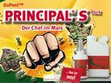 Principal-S-Pack
