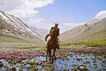 Pflanzenatlas Afghanistans