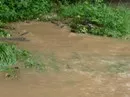 Hochwasser Oderbruch