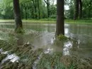 Zehntausende Allianz-Kunden von Hochwasser betroffen