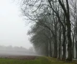 Wetter in Deutschland 10.01.2011