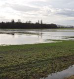 Hochwasser Elbe 2011