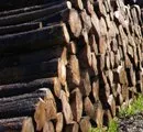 Neue Bioraffinerie knnte smtliche Holzbestandteile veredeln