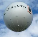 Bei Monsanto geht es wieder aufwrts