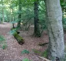 Niederschsische Forstmedaille