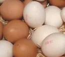 Ostern: Eier bleiben knapp und trotzdem preiswert
