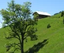 Schweiz: Bundesrat beschliet Agrarpaket