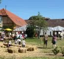 Reinholz: Tag des offenen Hofes als Schaufenster der Landwirtschaft strker nutzen 
