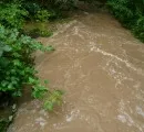 Zerstrte Flussauen bringen Hochwassergefahr