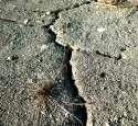 Kupfer: Trockenheit und Drre werden die grten Probleme