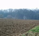 Agrarland 2008 in NRW weiterhin am teuersten 