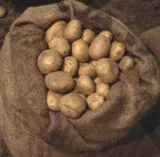 Rheinische Kartoffelknigin erffnet Frhkartoffelsaison