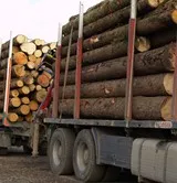 Forstunternehmen