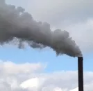 Erde absorbiert immer noch viel CO2