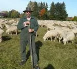 Schafe bringen Leistung fr die Gesellschaft 