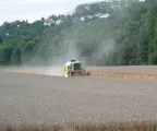 Getreideernte