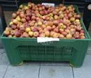 EU-Landwirtschaftsvertreter fordern Untersttzung fr Obst- und Erzeugerorganisationen