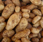 Kartoffel-Herbstbrse 