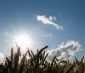 Umweltbundesamt fordert Klimapakt mit Bauern 