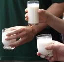 100 Milch-Automaten fr Bayerns Schulen