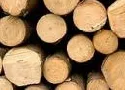 Holzindustrie 